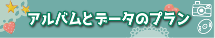 プランメニュー アルバムとデータのプラン