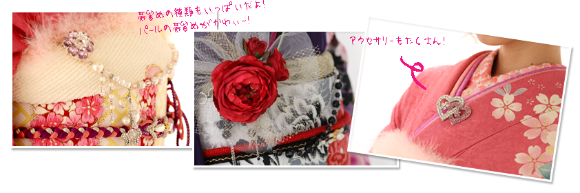 �ї��߂̎�ނ��A�N�Z�T���[�������ς��I
